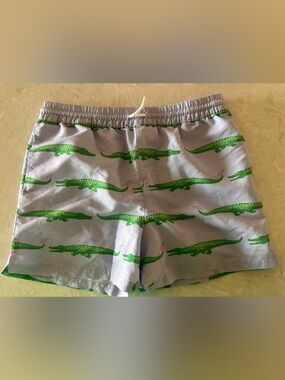 Light Blue Swim Shorts with Green Alligator Print